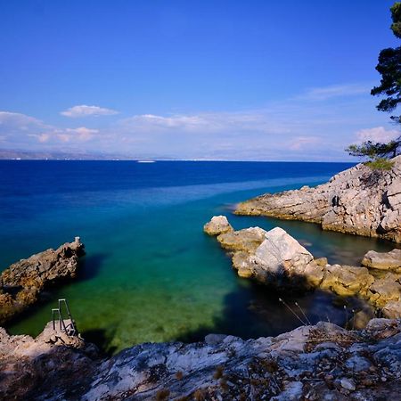 Vila Vita Donje Selo na Solti Luaran gambar