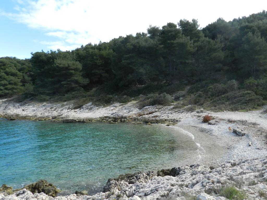 Vila Vita Donje Selo na Solti Luaran gambar